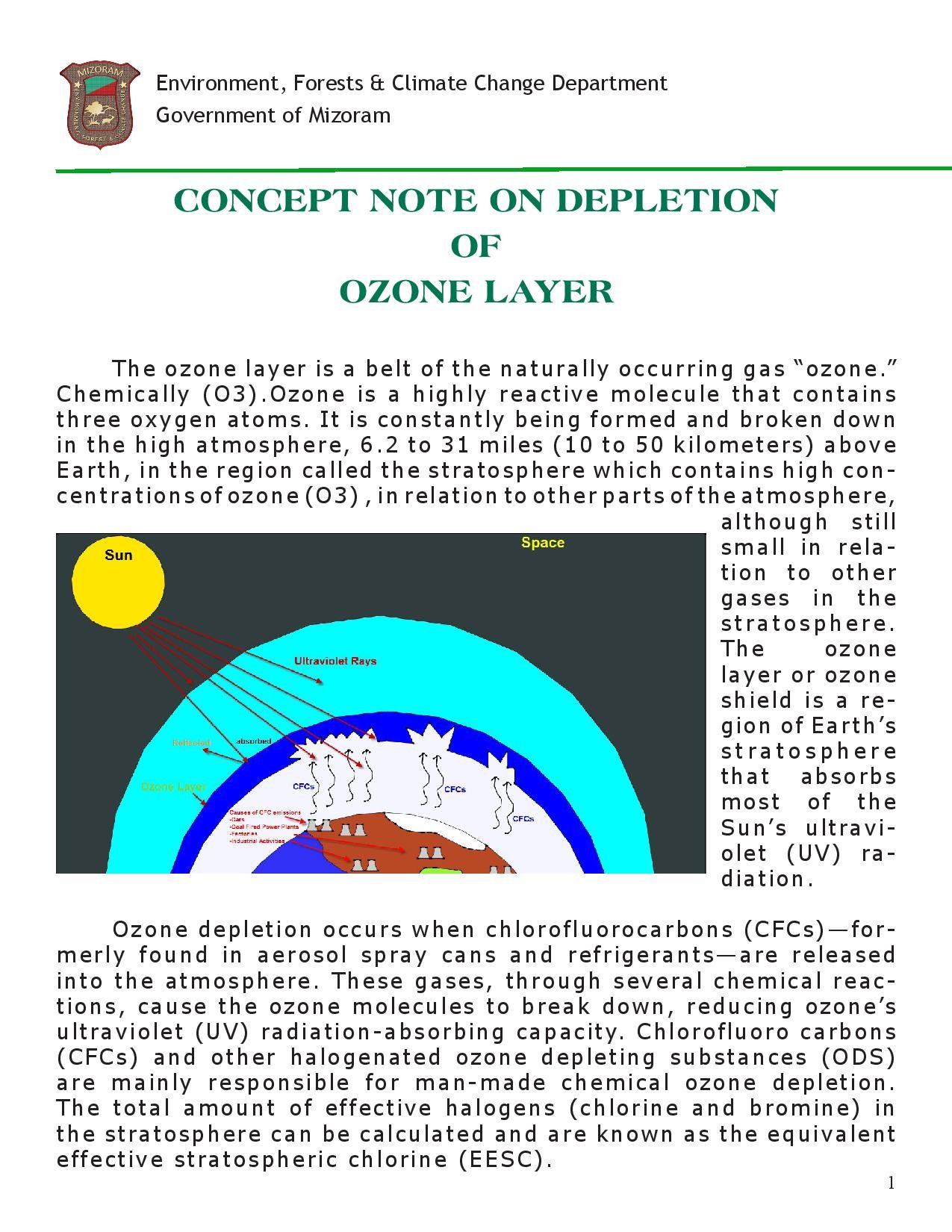 essay causes and effects of ozone depletion